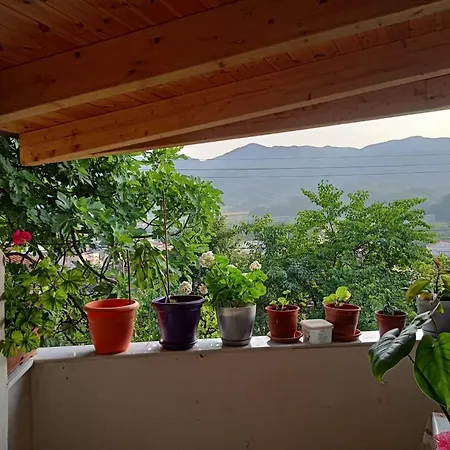 Shtepia E Veres Përmet